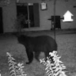 Meet your Posher, Wendy